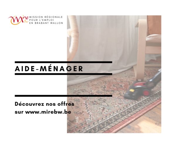 AIDE MENAGER (H/F/X)