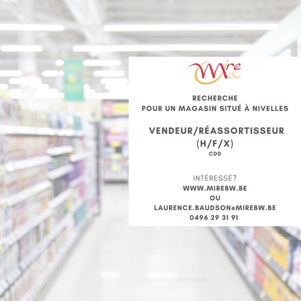VENDEUR/REASSORTISSEUR (H/F/X) VENDEUR/REASSORTISSEUR (H/F/X)